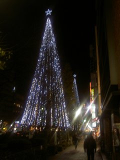 国立駅前のクリスマス電飾: クリスマスツリー並木